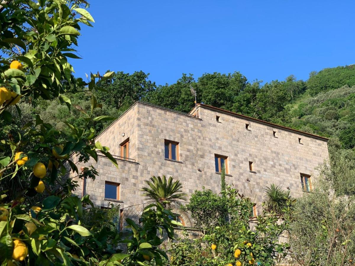 Holidays Homes The Dream Sant'Agnello Exterior foto