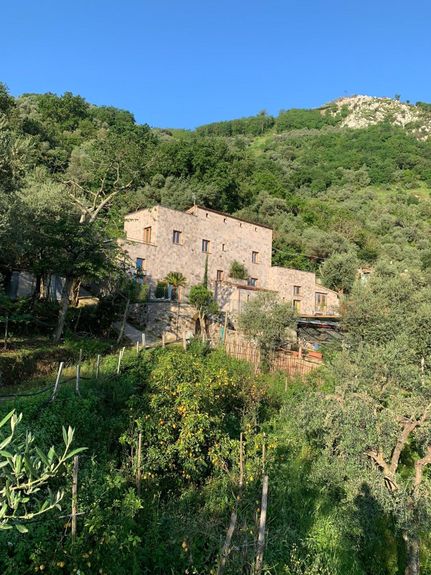 Holidays Homes The Dream Sant'Agnello Exterior foto