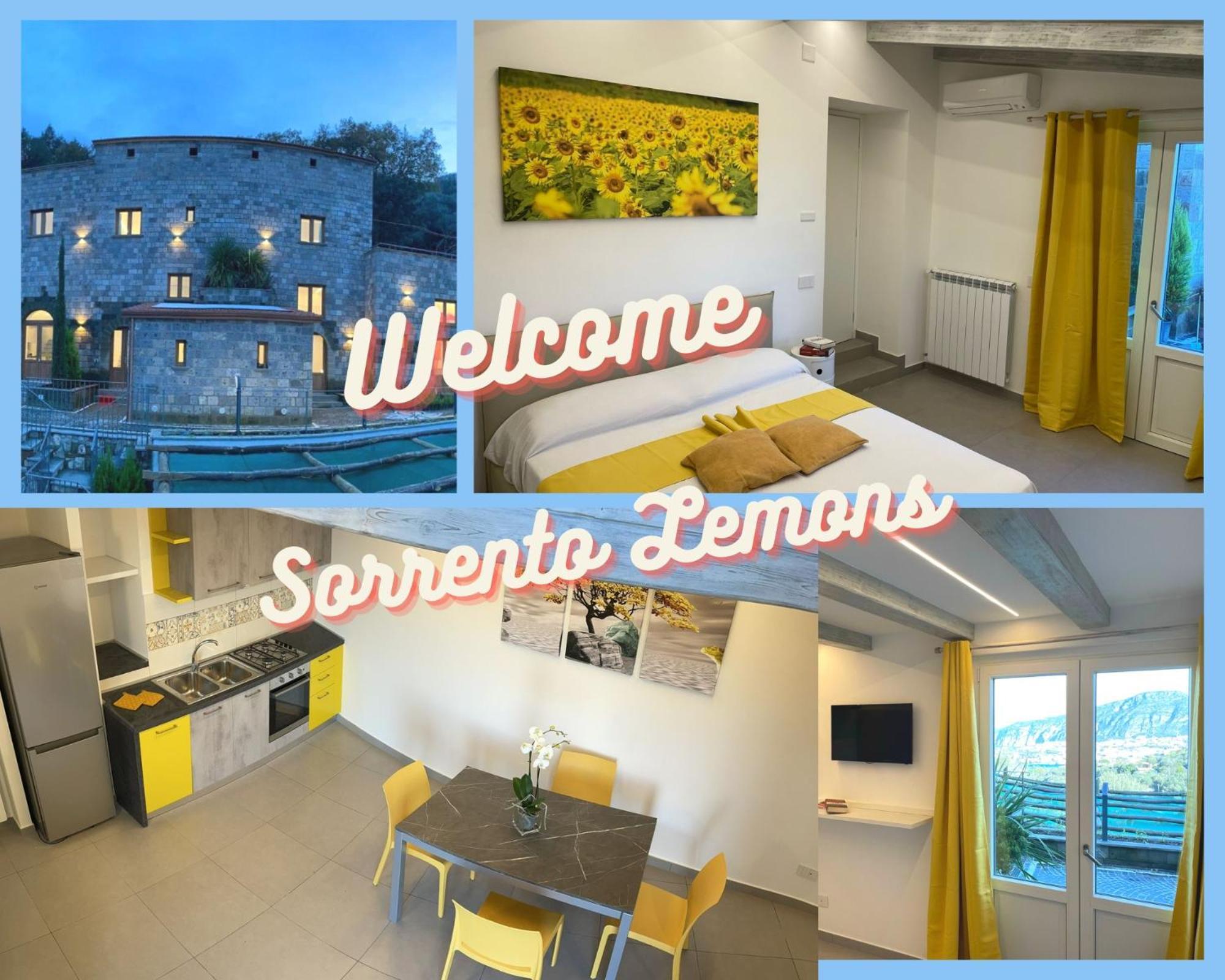 Holidays Homes The Dream Sant'Agnello Exterior foto